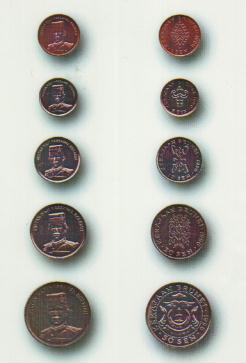   Brunei coins 